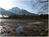 Kranjska Gora - Zelenci